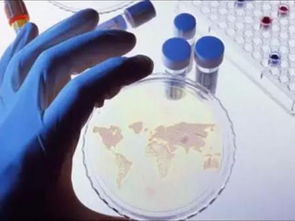 最新預測報告 未來全球石墨烯的九大發展趨勢