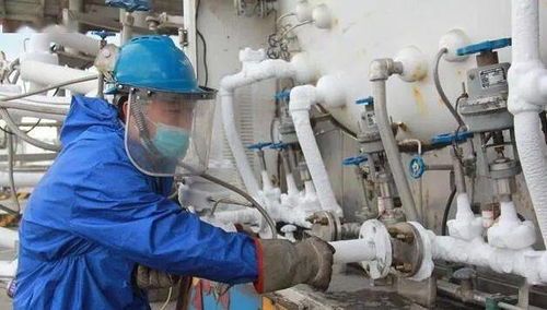 再出發 新疆規上企業開足馬力忙生產